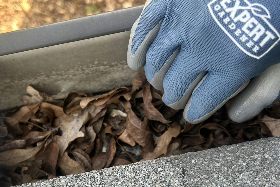 Gutter Cleaning Grandview, MO